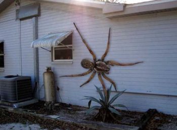 7 fotos virais totalmente falsas que todo mundo acreditou