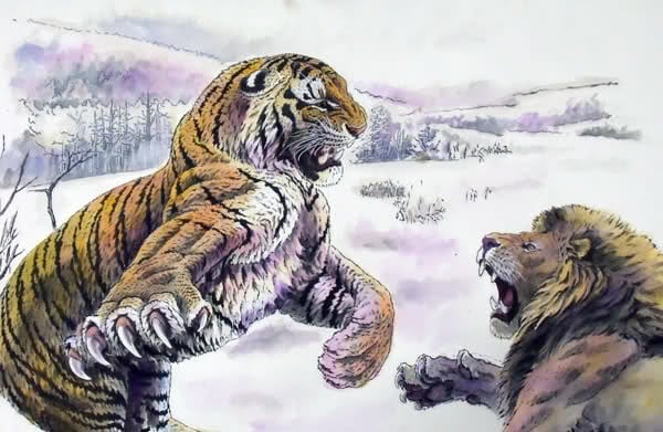 Leões versus Tigres: Quem venceria em um duelo?