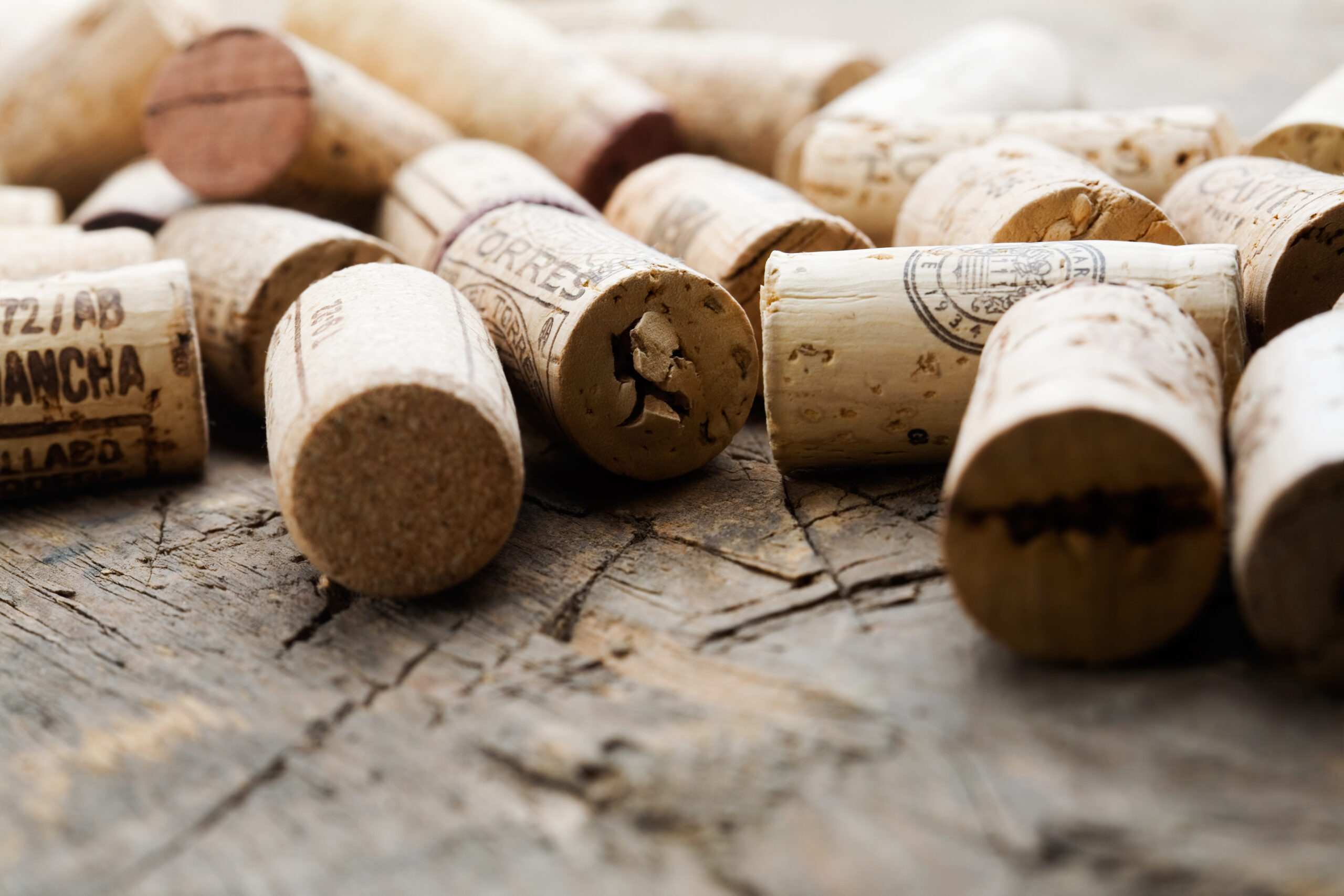 Como fica o vinho após 1650 anos dentro da garrafa?