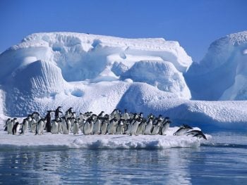 7 lendas e fatos que fazem a Antártida um lugar espetacular