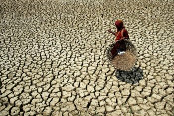 Esta região do mundo pode ficar tão quente que não vai mais suportar humanos em breve