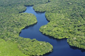 O que aconteceria se a Floresta Amazônica fosse completamente destruída?