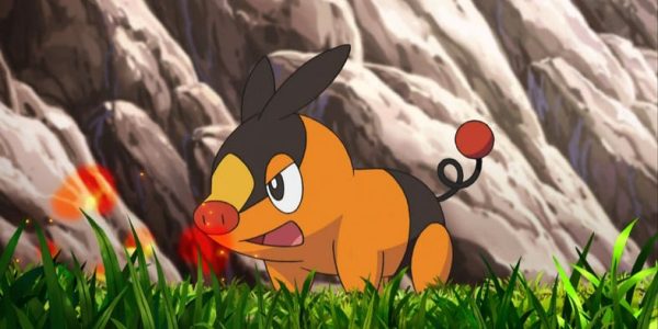 8 motivos que tornam os Pokémon de fogo a melhor escolha de