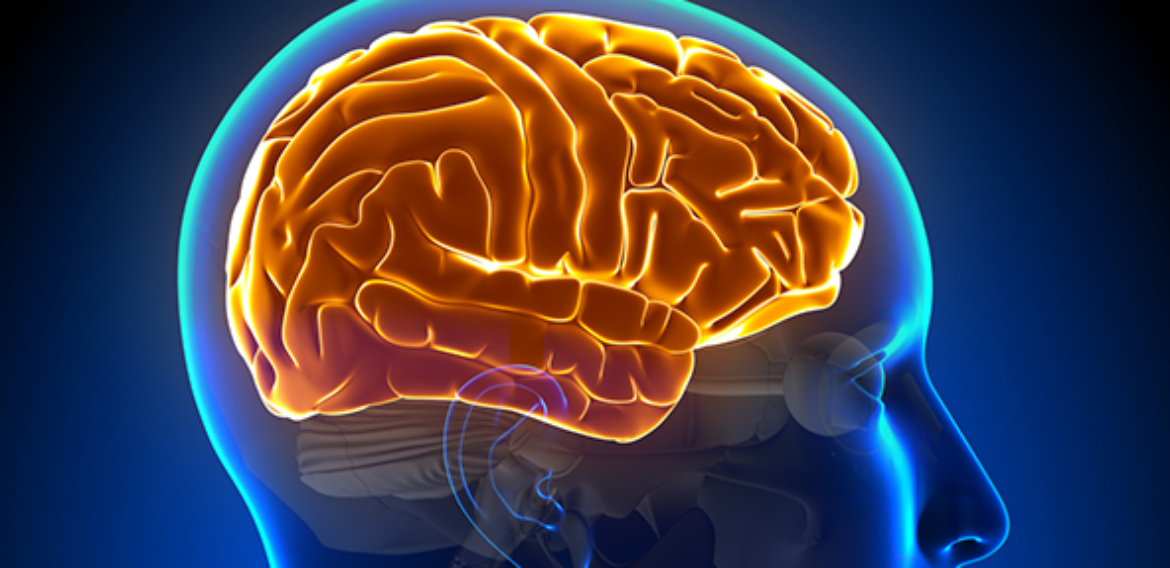 7 hacks cerebrais que prometem dar poderes espirituais