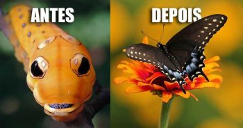 7 transformações incríveis que você precisa ver para acreditar