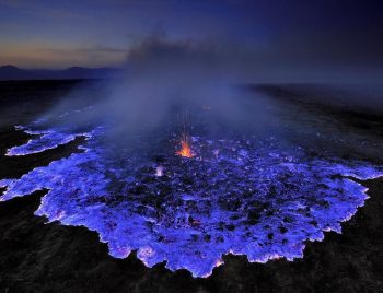 8 coisas naturais que você não vai acreditar que existem