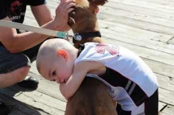 13 imagens para você rir um pouco e iniciar a semana mais animado