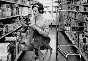 12 imagens que mostram momentos históricos que nunca mais acontecerão