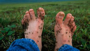 8 coisas que só quem é perseguido por mosquitos vai entender