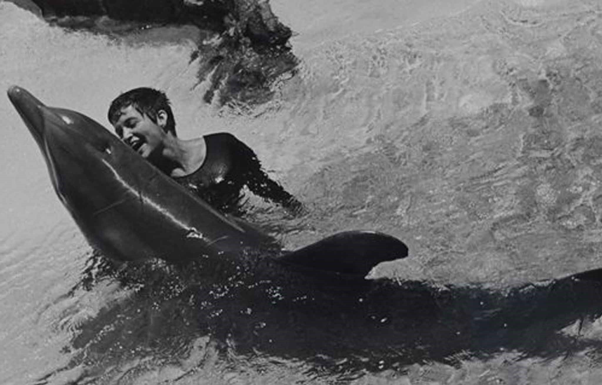 Conheça a bizarra história de amor entre uma mulher e um golfinho