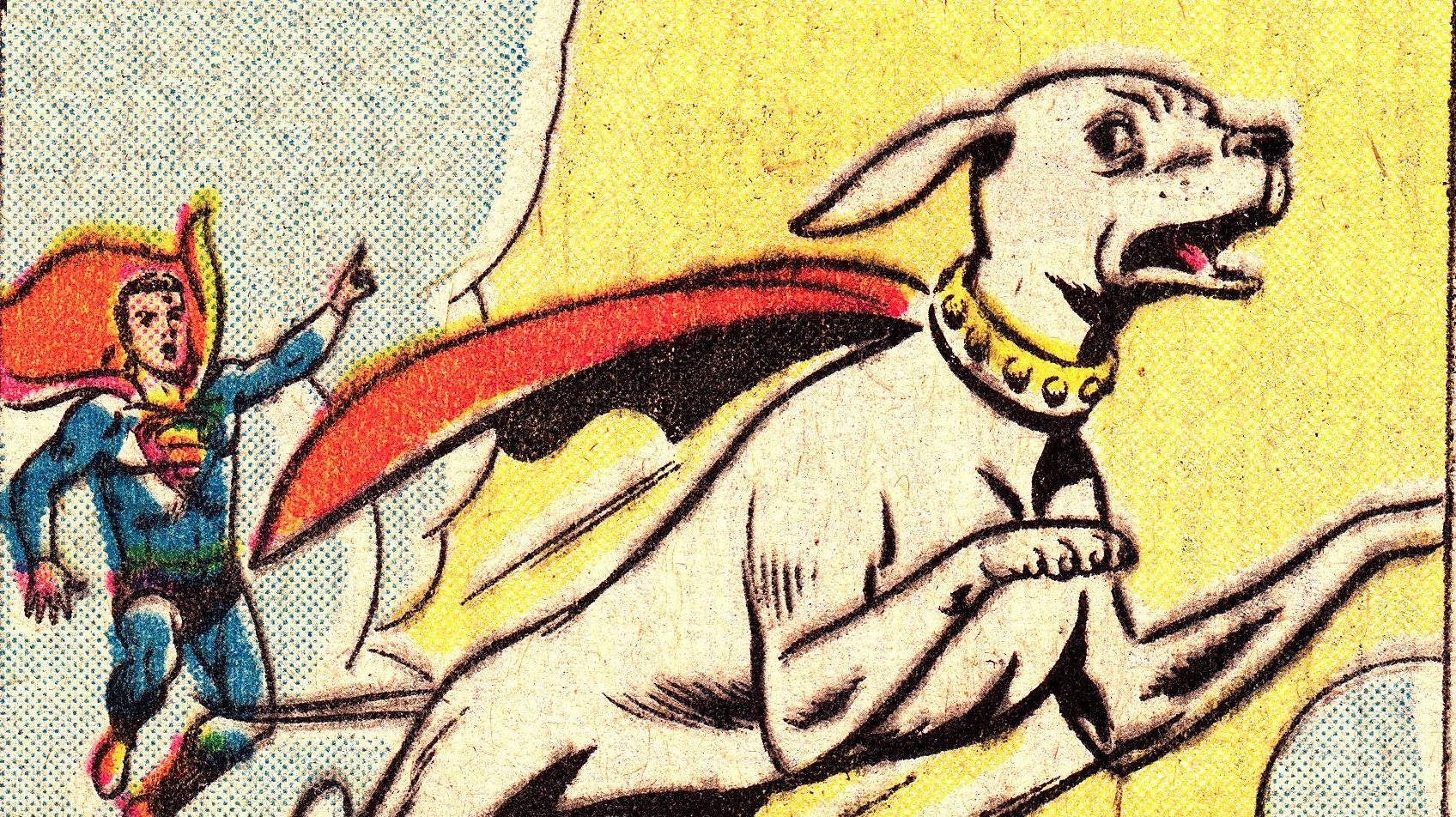 7 animais com superpoderes que incrivelmente existem