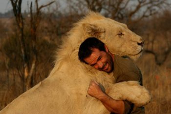 8 histórias perturbadoras de pessoas que enfrentaram animais selvagens e sobreviveram