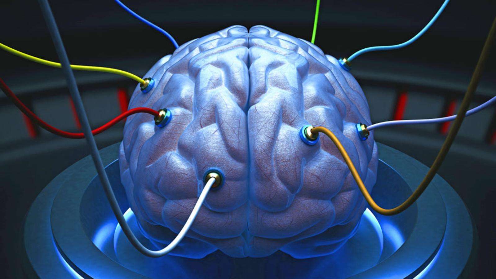 É possível conectar um cérebro humano à internet?