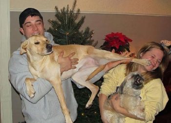 13 imagens que mostram animais mais ciumentos que qualquer pessoa