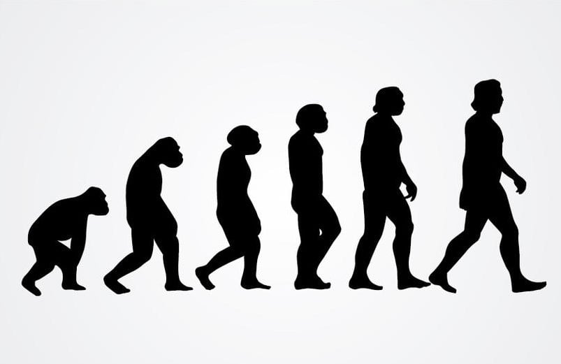 7 maiores sinais da evolução do ser humano