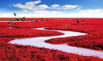 7 paraísos estranhos perdidos pelo mundo