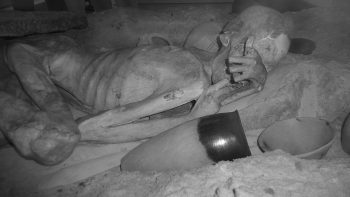 Essa múmia de mais de 5000 anos foi encontrada com tatuagens misteriosas