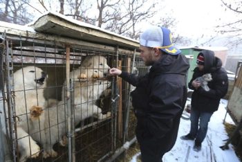 Um esquiador olímpico dos EUA salvou 90 cachorros de uma fazenda de carne