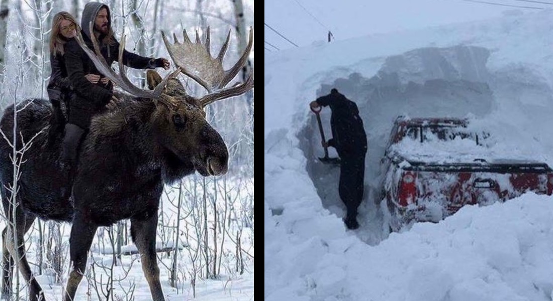 14 imagens que te farão pensar duas vezes antes de ir pro Canadá