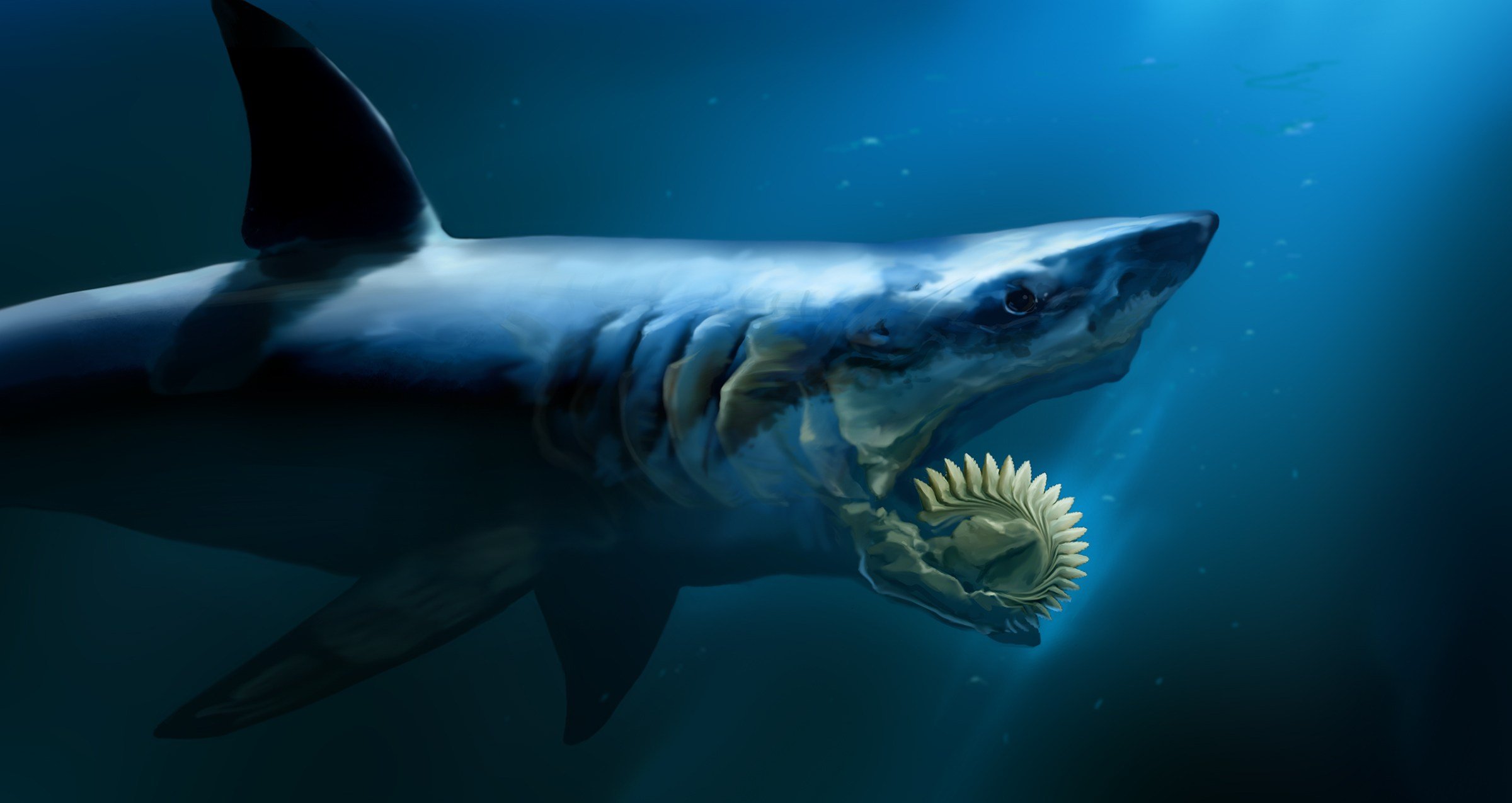O helicoprion foi um tubarão que tinha uma serra circular na boca