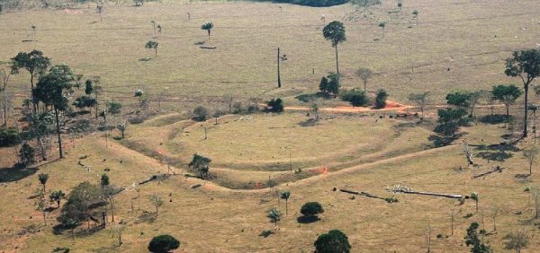 Amazônia