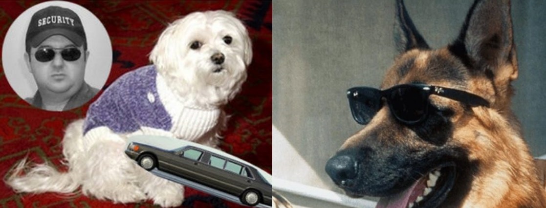 7 animais que herdaram fortunas