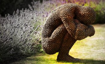 Cientistas podem ter descoberto a causa da famosa tripofobia