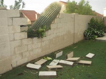 20 vizinhos que você tem sorte de não tê-los por perto