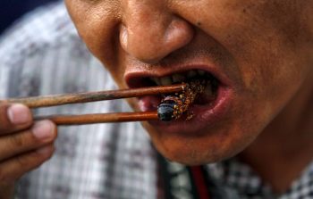 7 comidas de rua mais bizarras do mundo