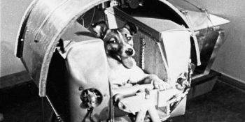 7 fatos que vão partir seu coração sobre Laika, o primeiro cachorro a ir pro espaço