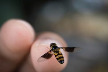 7 maneiras assustadoramente prováveis de você morrer