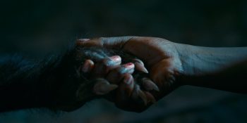 7 motivos para não perder ‘As Boas Maneiras’ por nada