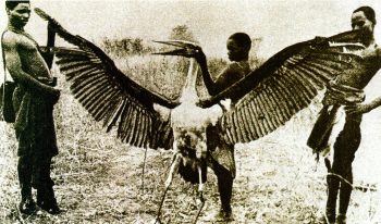 7 mistérios pouco conhecidos que não possuem solução