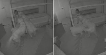 Você não vai imaginar quem ajudava essa menina de 1 ano de idade