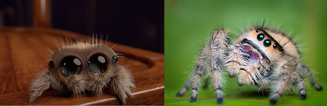 Se essas fotos e vídeos não curarem sua aracnofobia, nada vai