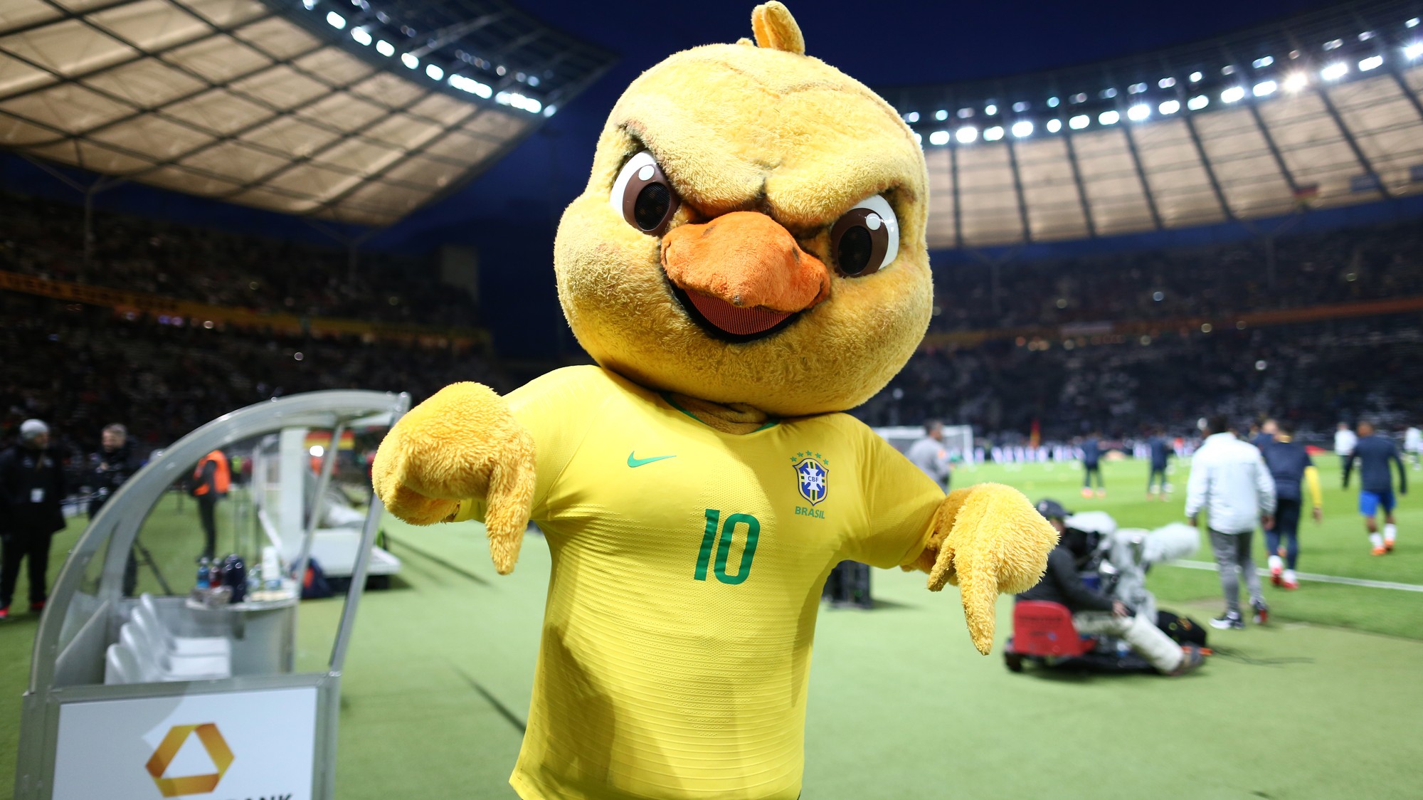 Canarinho Pistola sai pelas ruas de Viena e faz sucesso com a criançada  local, seleção brasileira