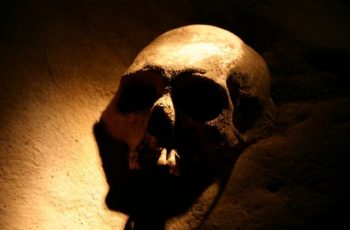 Estudo indica que homens quase causaram a própria extinção há 7 mil anos