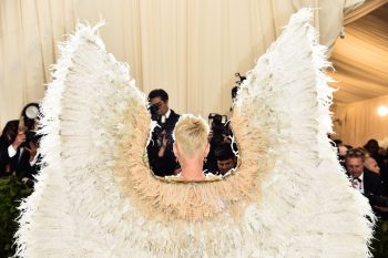 7 órgãos animais que te dariam super poderes