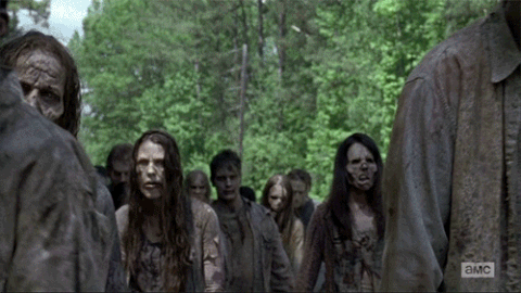 [Image: 1-gif-2.gif]