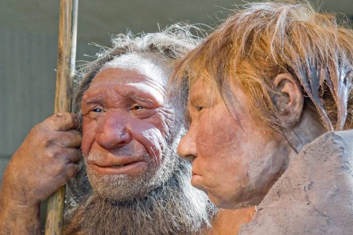 Esse fóssil tinha pais de diferentes espécies de humanos