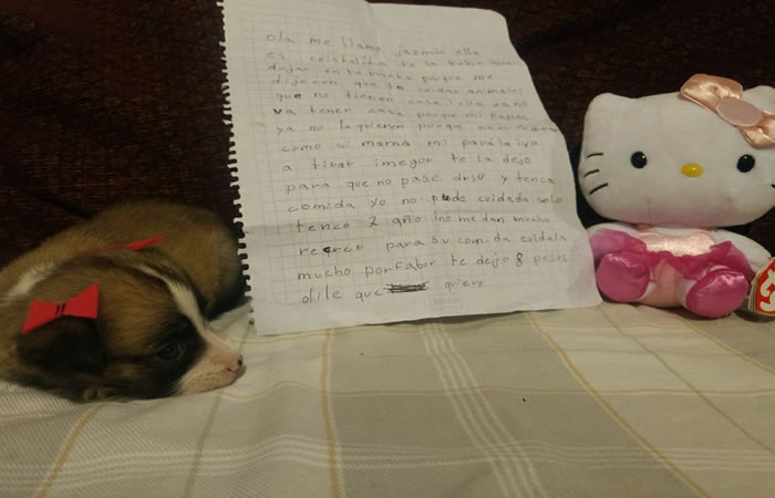 A cartinha dessa menina que foi proibida de ter um cachorro vai partir seu coração