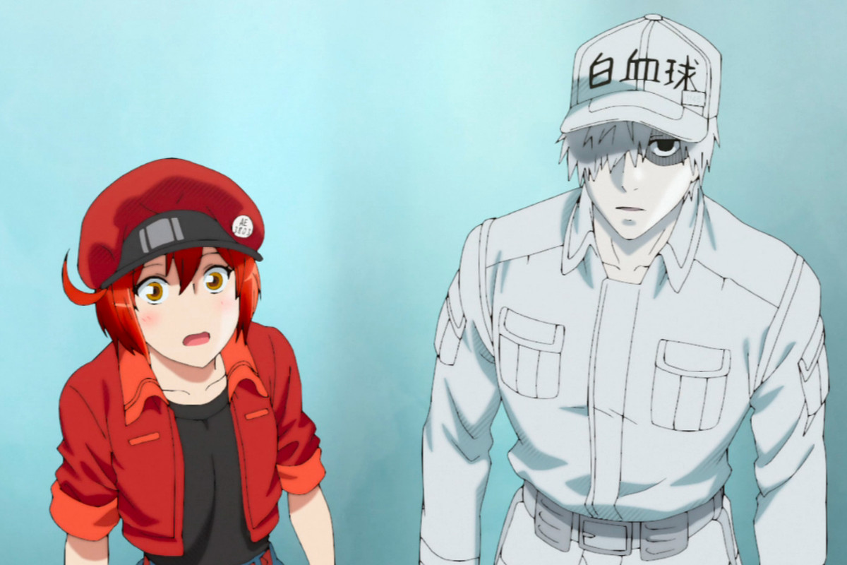 Hataraku Saibou!! é o 1º anime de temporada a ser exibido em canal de TV na  China após 14 anos sem novas estreias - IntoxiAnime