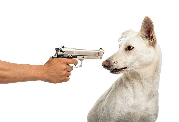 7 animais que receberam ameaças de morte