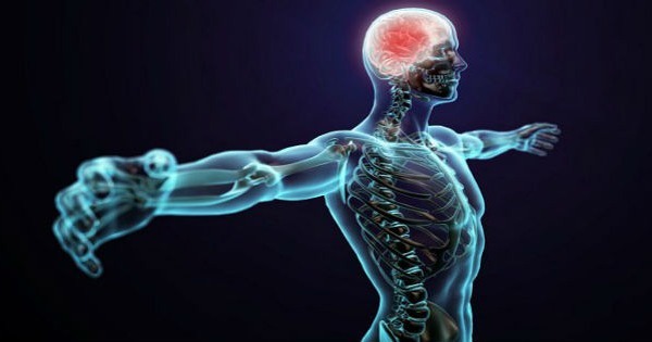 7 coisas que estão acontecendo no seu corpo nesse exato momento