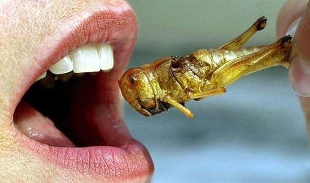 7 fatos nojentos sobre a humanidade que você não vai querer saber