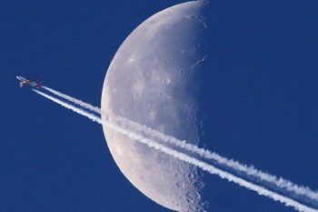 Os primeiros terráqueos a orbitar na lua não foram homens