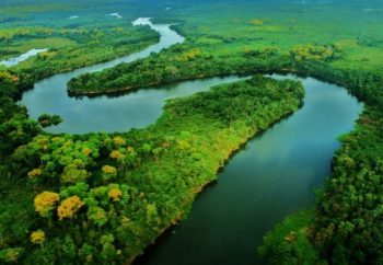 Metade do planeta teria que ser preservada para a raça humana sobreviver