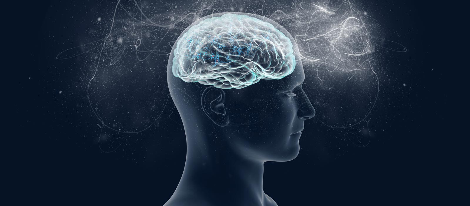 Estudo revela período do ano em que as pessoas ficam mais inteligentes