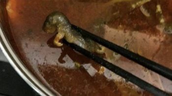 Rato faz restaurante ter prejuízo multimilionário