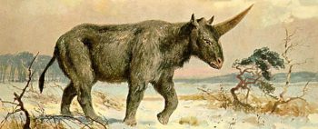 Fóssil revela quando ocorreu a extinção dos ‘unicórnios’ siberianos